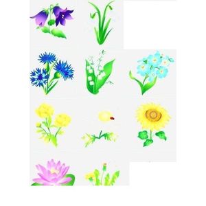 Набор развивающих наклеек 'Моя корзинка. Цветы и орехи' (Н-1410)