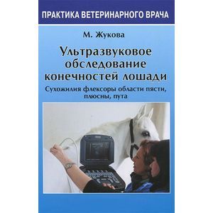 Ультразвуковое обследование конечностей лошади