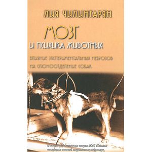 Мозг и психика животных