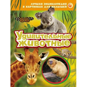 Удивительные животные