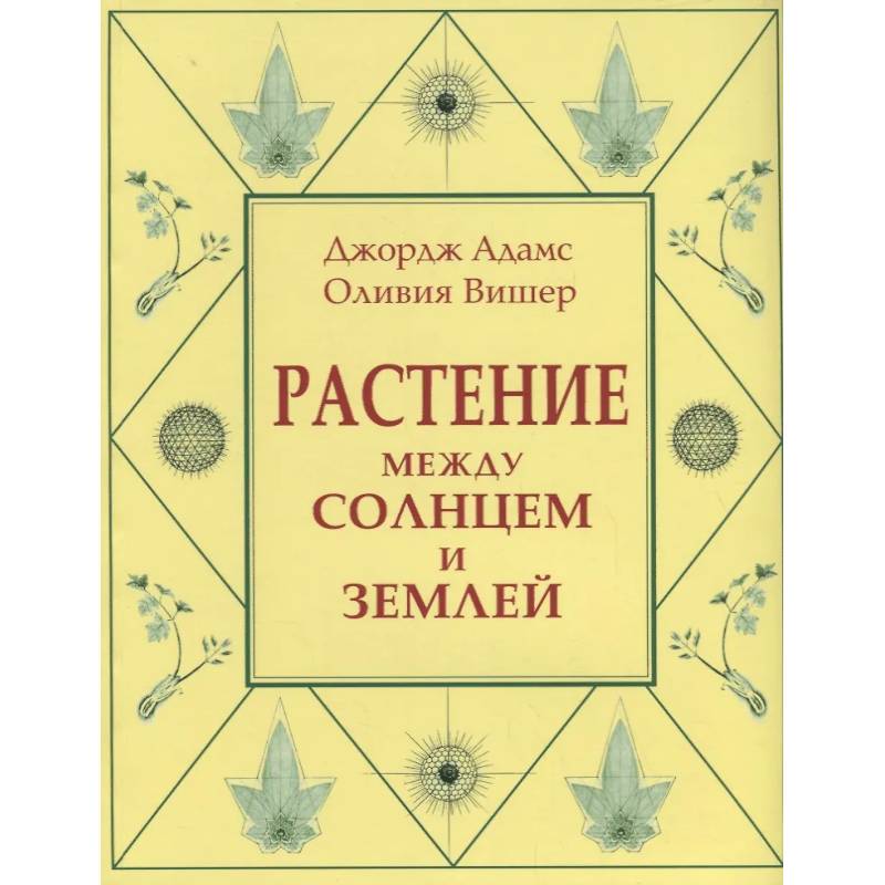 Растение между солнцем и землей: учение о физическом и эфирном пространстве Растение между солнцем и землей: учение о физическом и эфирном пространстве