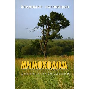 Мимоходом. Дневник наблюдений