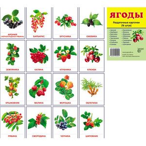 Раздаточные карточки 'Ягоды'