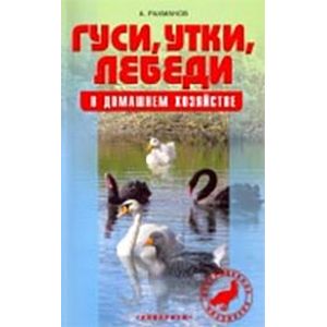 Гуси, утки, лебеди в домашнем хозяйстве. Содержание и разведение
