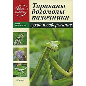 Тараканы. Богомолы. Палочники. Уход и содержиние Тараканы. Богомолы. Палочники. Уход и содержиние