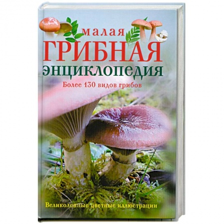 Грибы. Справочники. Определители, книга Малая грибная энциклопедия купить по низкой цене