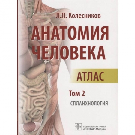 Анатомия и физиология человека, книга Анатомия человека. Атлас. Том 2. Спланхнология купить по низкой цене