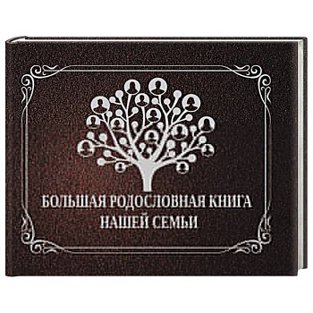 Большая родословная книга нашей семьи