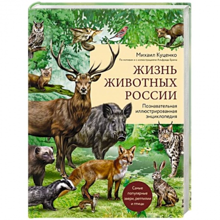 Животный и растительный мир, книга Жизнь животных России. Познавательная иллюстрированная энциклопедия купить по низкой цене