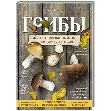 Грибы. Справочники. Определители, книга Грибы. Иллюстрированный гид по популярным видам купить по низкой цене