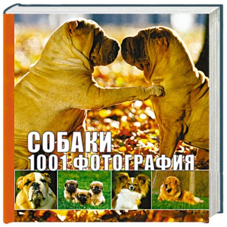 Книги, книга Собаки. 1001 фотография купить по низкой цене