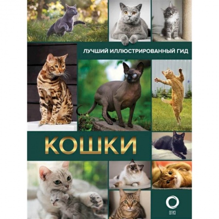 Общие справочники, книга Кошки. Лучший иллюстрированный гид купить по низкой цене