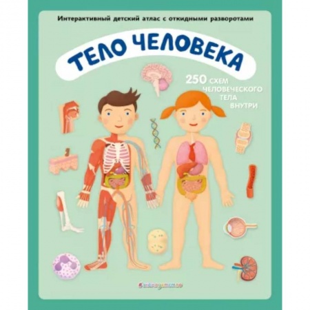 Человек. Земля. Вселенная, книга Тело человека. Интерактивный детский атлас с откидными разворотами купить по низкой цене