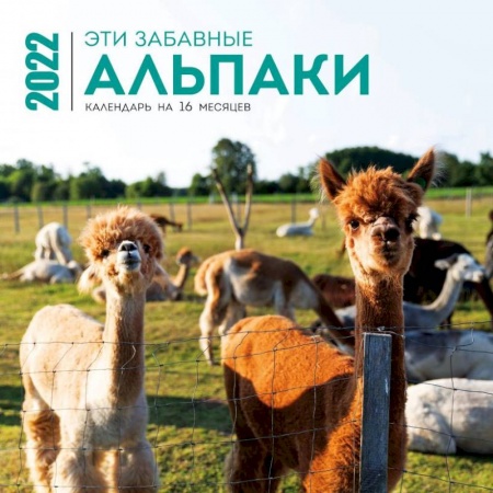 Эти забавные альпаки. Календарь настенный на 16 месяцев на 2022 год