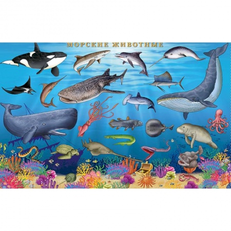 Демонстрационные материалы, книга Морские животные. Цифры и факты. Настольное издание купить по низкой цене