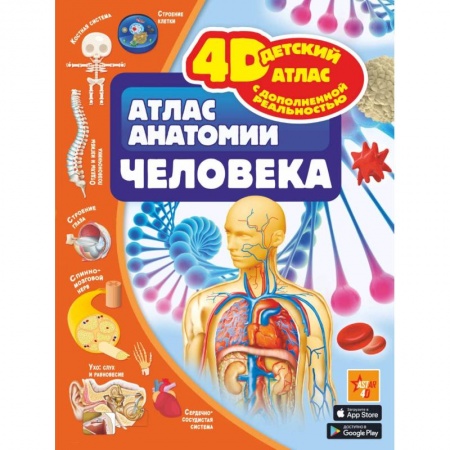 Человек. Земля. Вселенная, книга Атлас анатомии человека купить по низкой цене