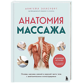 Анатомия массажа. Основы массажа нижней и верхней части тела с анатомическими иллюстрациями Анатомия массажа. Основы массажа нижней и верхней части тела с анатомическими иллюстрациями