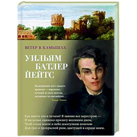 Зарубежная поэзия, книга Ветер в камышах купить по низкой цене