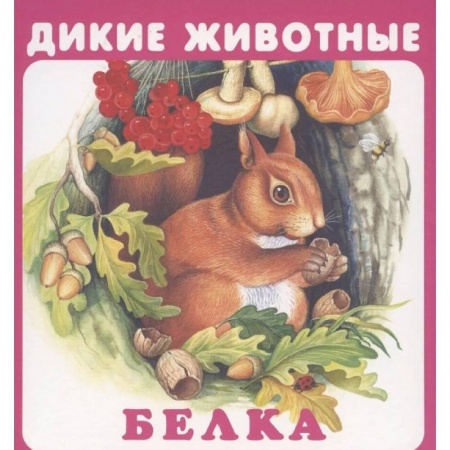Знакомство с миром, развитие малыша, книга Дикие животные купить по низкой цене