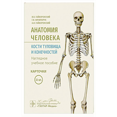 Анатомия и физиология человека, книга Анатомия человека. Кости туловища и конечностей. Карточки: Наглядное учебное пособие купить по низкой цене
