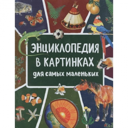 Знакомство с миром, развитие малыша, книга Энциклопедия в картинках для самых маленьких купить по низкой цене