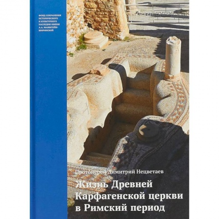 Религиоведение. История религий, книга Жизнь Древней Карфагенской церкви в Римский период купить по низкой цене