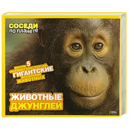 Книги, книга Животные джунглей купить по низкой цене