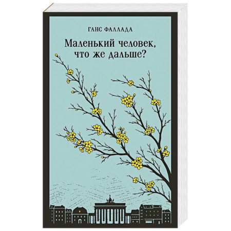 Зарубежная классика, книга Маленький человек, что же дальше? купить по низкой цене
