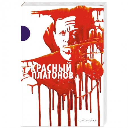 Дневники. Письма. Записки, книга Красный Платонов купить по низкой цене