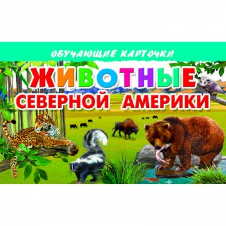 Книги, книга Карточки. Животные Северной Америки купить по низкой цене