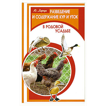 Разведение и содержание кур и уток в родной усадьбе