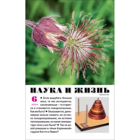Журналы, книга Наука и жизнь. 2024. № 6 купить по низкой цене