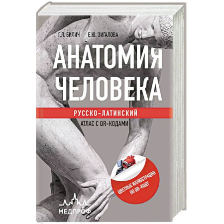 Здоровье, медицинская литература, книга Анатомия человека: Русско-латинский атлас с QR-кодами купить по низкой цене