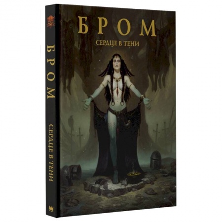 Живопись, книга Сердце в тени купить по низкой цене