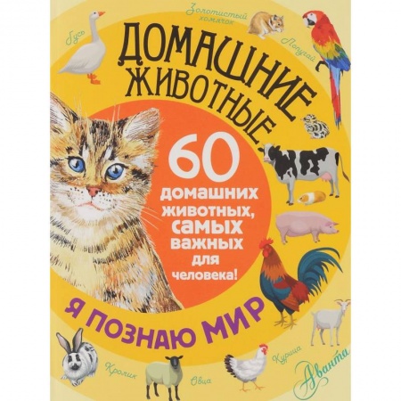 Книги, книга Домашние животные. 60 домашних животных, самых важных для человека купить по низкой цене