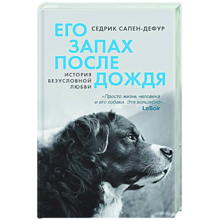 Зарубежная современная проза, книга Его запах после дождя купить по низкой цене