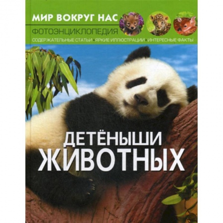 Животный и растительный мир, книга Мир вокруг нас. Детеныши животных купить по низкой цене