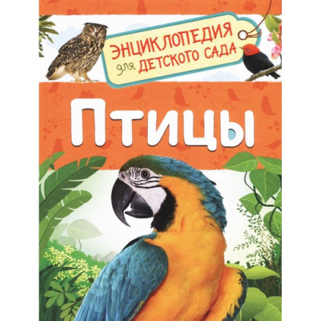 Животный и растительный мир, книга Птицы купить по низкой цене