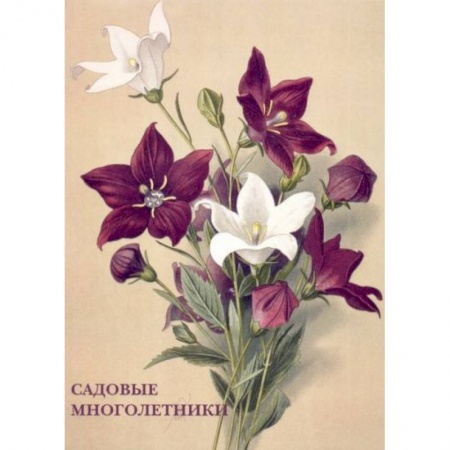 Культура, искусство, книга Садовые многолетники купить по низкой цене