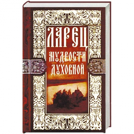 Духовная литература, книга Ларец мудрости духовной купить по низкой цене