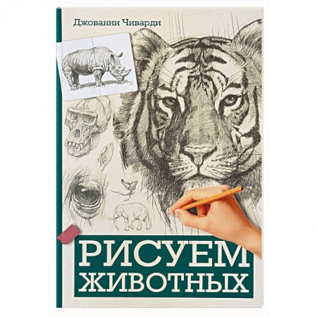Живопись, книга Рисуем животных купить по низкой цене
