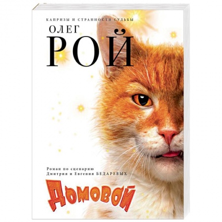 Отечественный любовный роман, книга Домовой купить по низкой цене