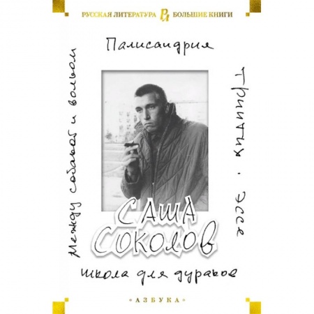 Русская современная проза, книга Школа для дураков. Между собакой и волком. Палисандрия. Эссе. Триптих купить по низкой цене