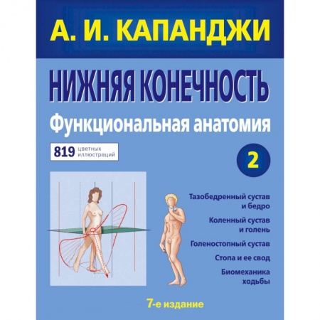Другие виды специальной медицины, книга Нижняя конечность. Функциональная анатомия (обновленное издание) купить по низкой цене