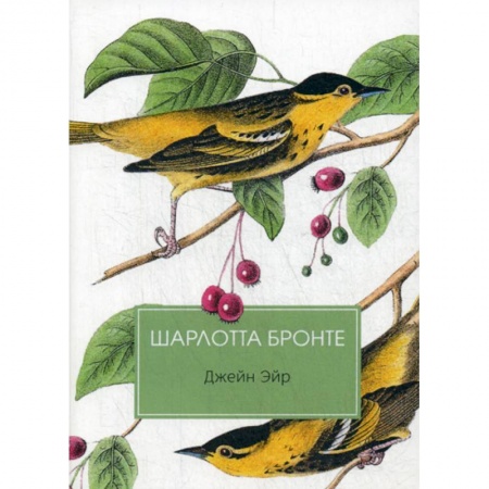 Зарубежная современная проза, книга Джейн Эйр купить по низкой цене