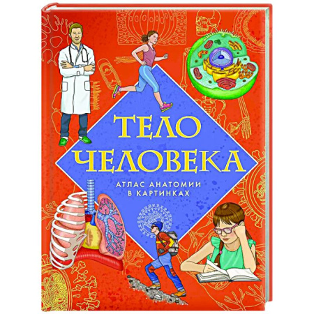 Человек. Земля. Вселенная, книга Тело человека. Атлас анатомии в картинках купить по низкой цене