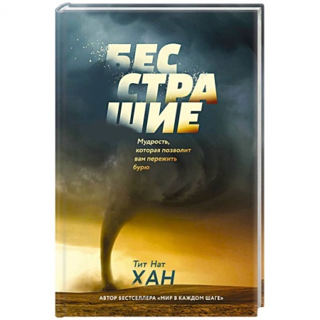 Другие духовные практики, книга Бесстрашие. Мудрость, которая позволит вам пережить бурю купить по низкой цене
