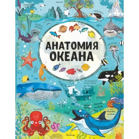 Животный и растительный мир, книга Анатомия океана купить по низкой цене