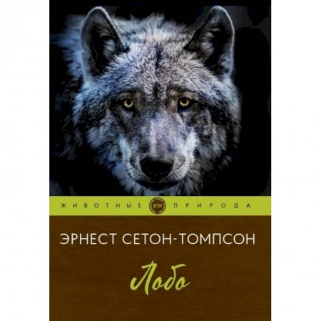 Зарубежная литература для детей, книга Лобо купить по низкой цене
