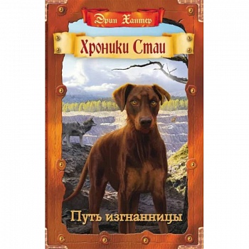 Путь изгнанницы Путь изгнанницы